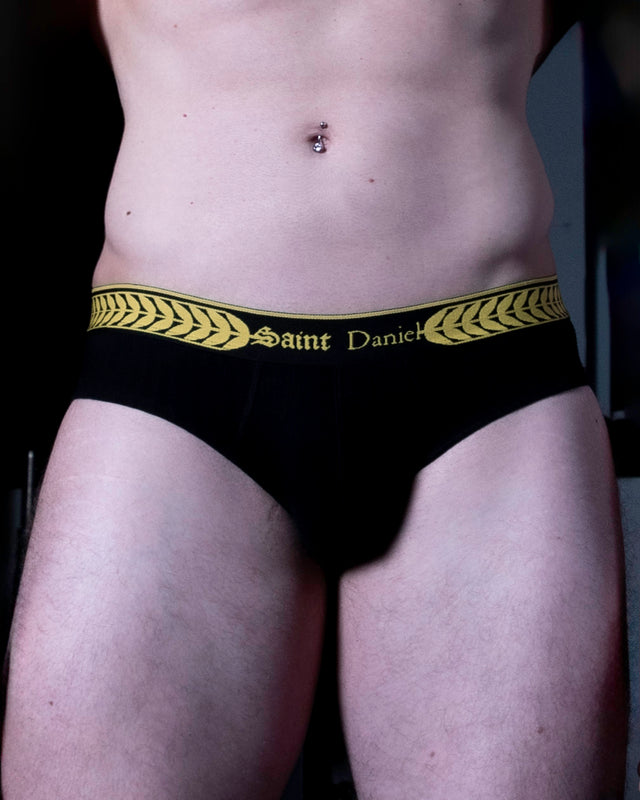 Vestments, Holy brief